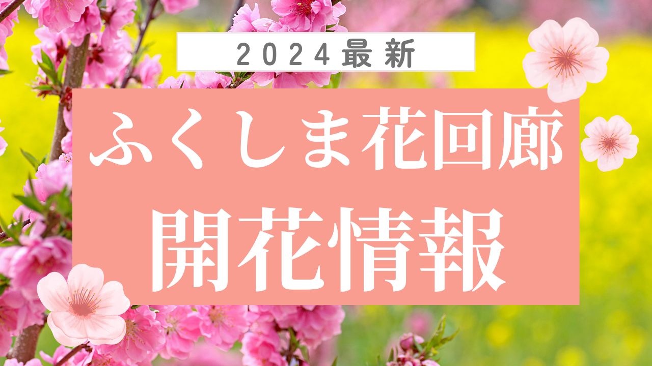 【2024年】ふくしま花回廊開花情報（6/11更新）